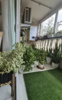 فروش گل و گلدان‌های خاص و آپارتمانی