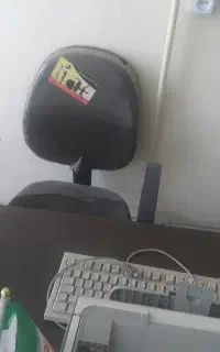 استخدام بانوان