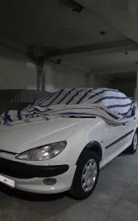 ۲۰۶ اس دی   V8  TU5 عتیقه و کلکسیونی تک برگ