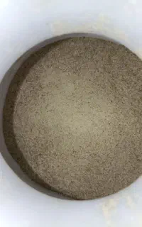گزو