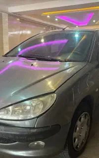 ۲۰۶ تیپ ۳ استثنایی