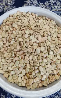باقلا خشک