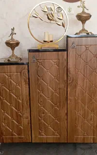 جا کفشی