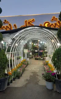 نگهبان شب بازنشسته