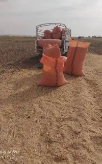 فروش کاه