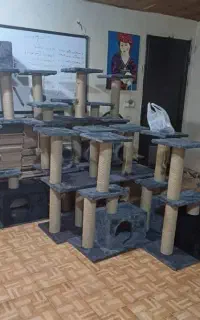 اسکرچر گربه