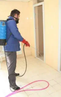 سمپاشی سوسک،ساس*باضمانت کتبی*سم پاشی تماام تهراان