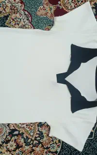 لباس. پلوشرت