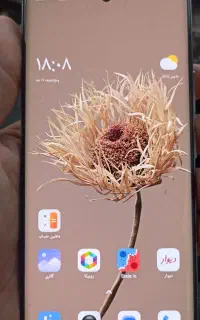 شیائومی ردمی نوت 14 pro  حافظه 512