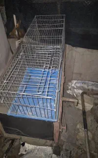 قفس حیوون