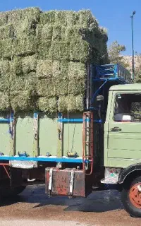 خاور بنز ۶۰۸