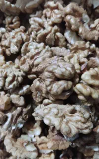 مغز گردو اعلا وگردوی درجه یک