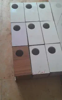 لانه عروس هلندی