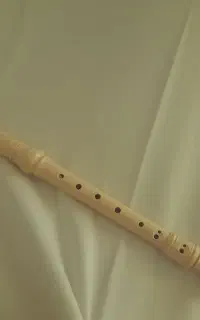 فلوت ریکوردر یاماها اصل