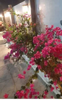 سرایداری