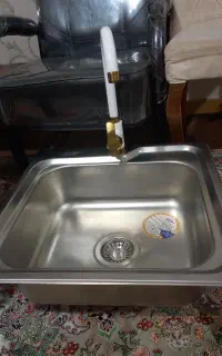 سینگ همراه شیر آب