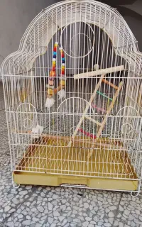 قفسه 50%65 سالم همراه با نردبان و تاب