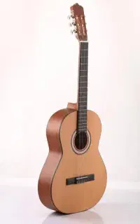 نوازنده گیتار