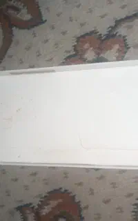 شییامی عا ۱۰