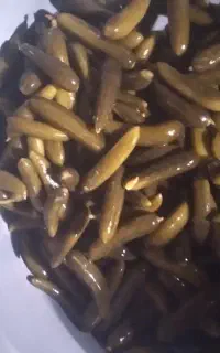 تولیدوپخش خیارشور