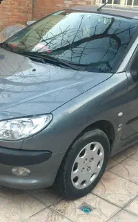 ۲۰۶ سالم بی رنگ و کم کارکرد