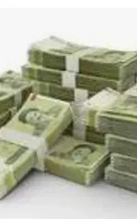 شریک و سرمایه گزار