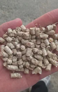 فروش خوراک دام برای پروار گوسفند و گاو