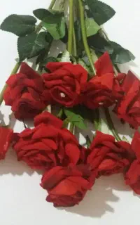گل رز و لوازم آشپز خانه