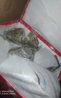 لیوان چایی خوری دودی