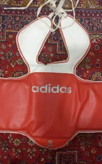 هوگو تکواندو