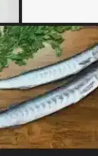 ارسال ماهی تازه به سراسر کشور تا وزن ده کیلو