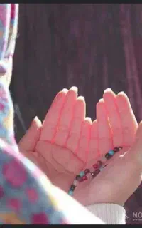 فال .سر کتاب