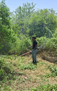علف زنی .جوب بندی .هرس درختان.شخم زنی