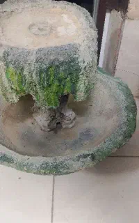 ابنما