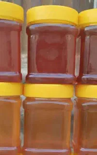 عسل طبیعی
