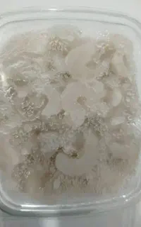 میگو