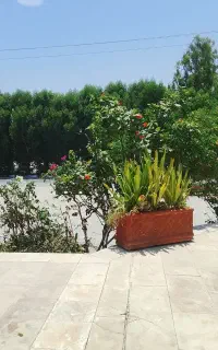 استخدام نگهبان و حراست