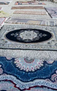 قالیشویی ژینا