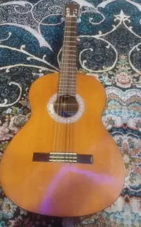گیتار حرفه ایی