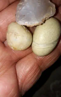 سنگهای زیبا واحتمالا شهاب