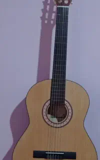 گیتار پارسی
