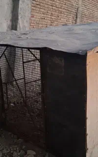 قفس