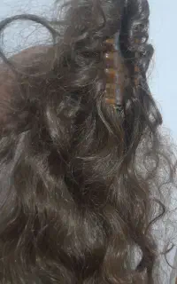 کلاه گیس وگیس کلیپسی