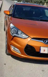 ولستر زیرخاکی فول سفارش خلیج