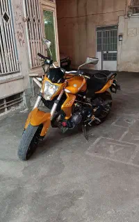 بنلی300