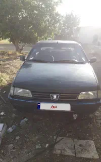 پژو405