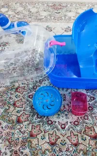 شهر بازی همستر