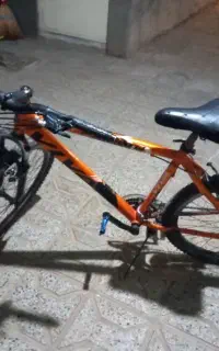 دوچرخی ویوا   ۲۶