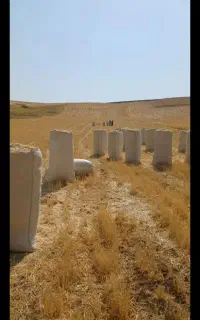 کاه گیرم