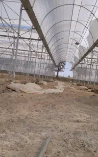 نصب و تعمیرات گلخانه نصب فن و پد و...